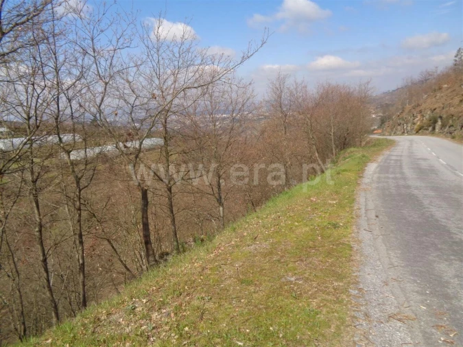 Terreno para Venda em Soalhães Foto 4