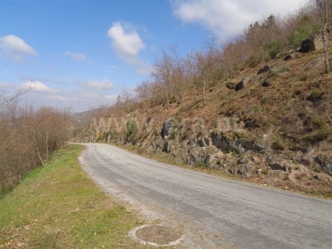 Terreno para Venda em Soalhães