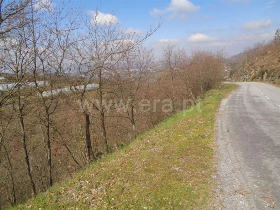 Terreno para Venda em Soalhães Foto 4