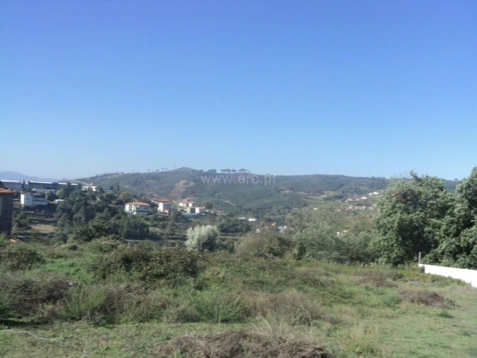 Terreno para Venda em Gove Foto 5