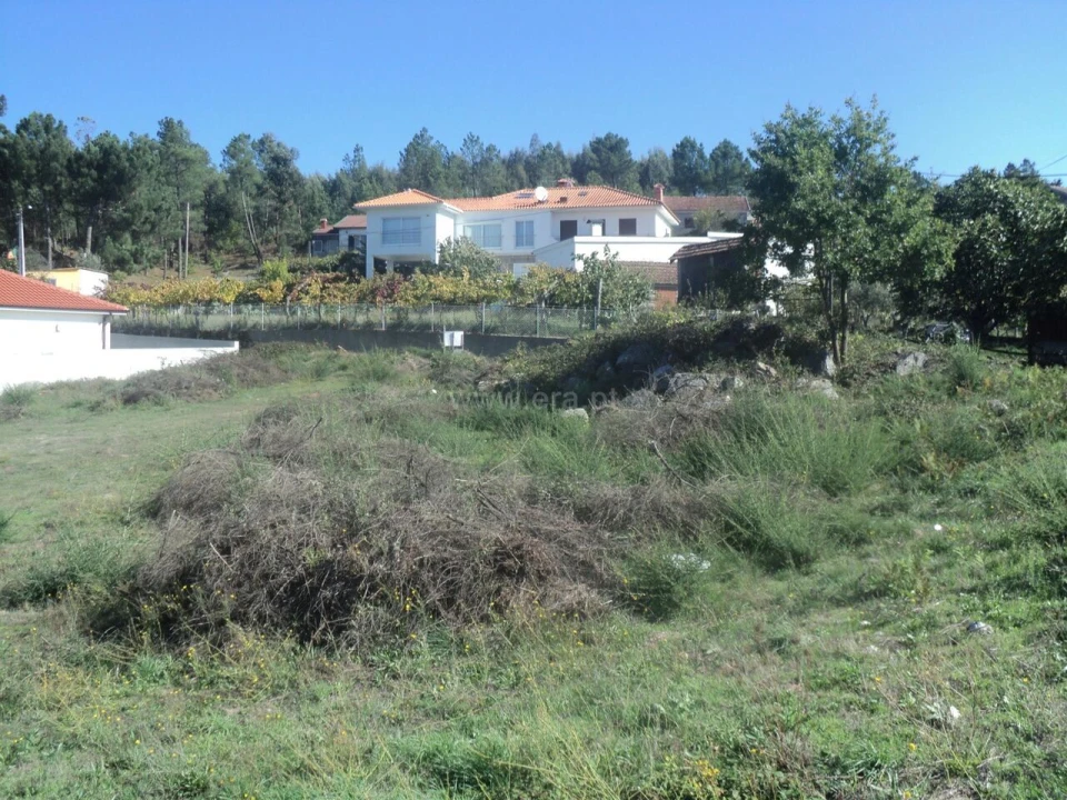 Terreno para Venda em Gove Foto 6