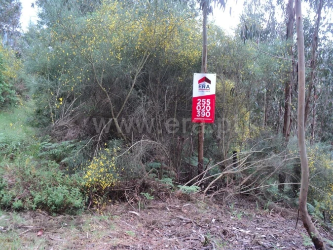 Terreno para Venda em Alpendorada, Várzea e Torrão Foto 1