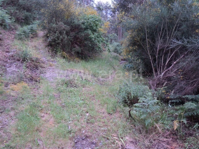 Terreno para Venda em Alpendorada, Várzea e Torrão Foto 2