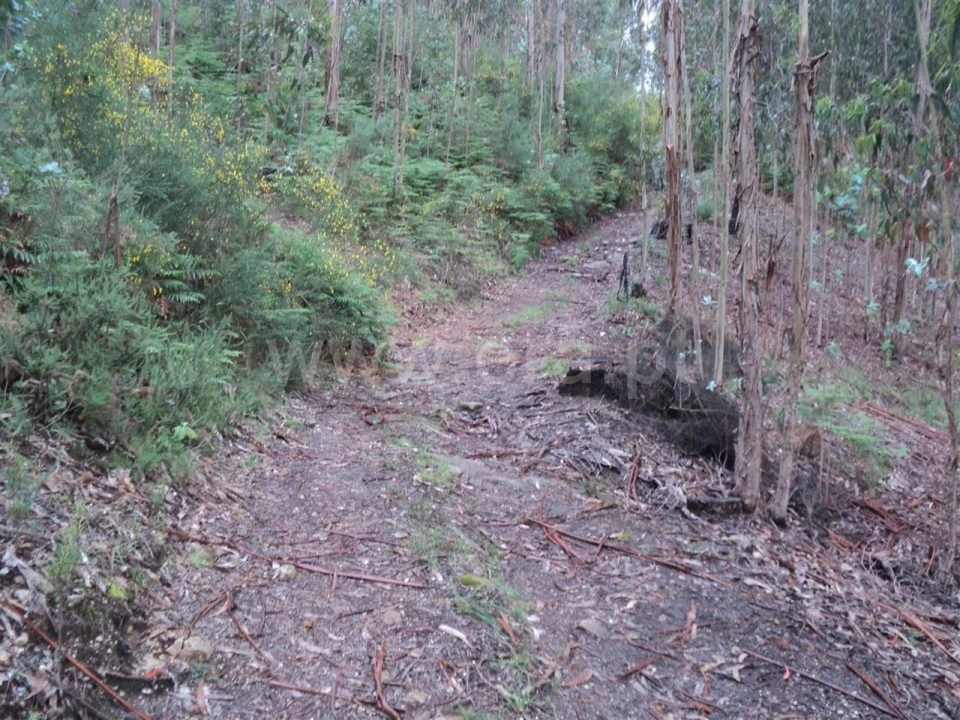 Terreno para Venda em Alpendorada, Várzea e Torrão Foto 4