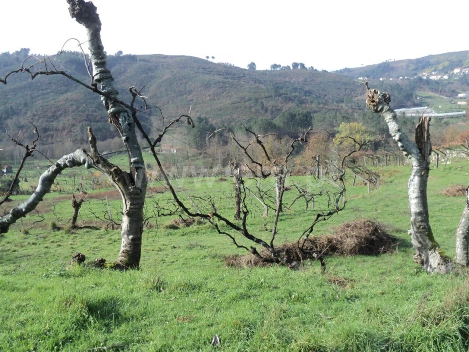 Quinta T0 para Venda em Gove Foto 4
