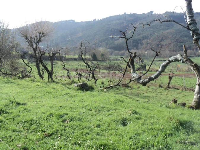 Quinta T0 para Venda em Gove Foto 3