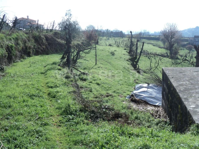 Quinta T0 para Venda em Gove Foto 2