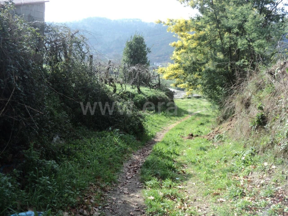 Quinta T0 para Venda em Gove Foto 5