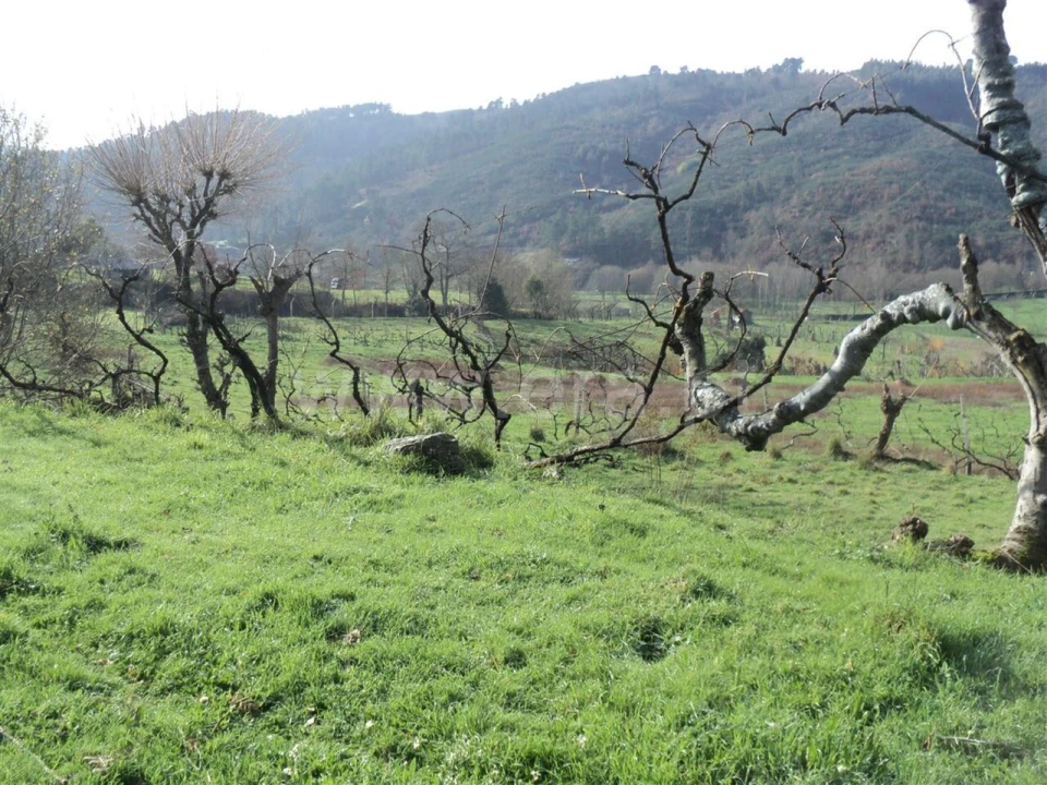 Quinta T0 para Venda em Gove Foto 3