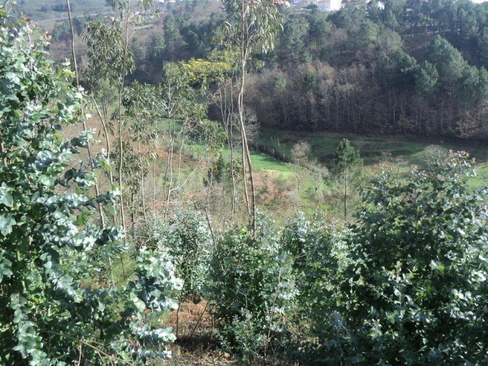 Terreno para Venda em Gove Foto 2