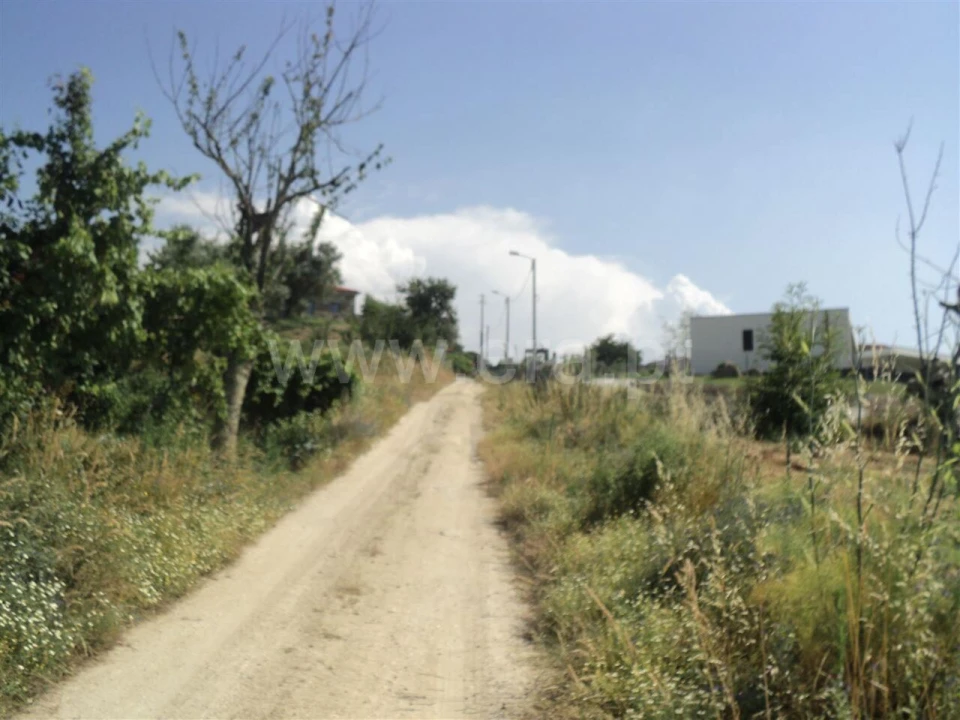 Terreno para Venda em Soalhães Foto 12