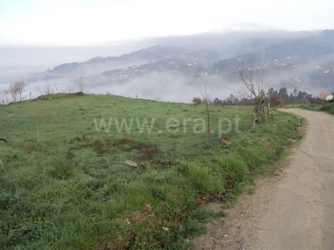 Terreno para Venda em Soalhães Foto 4