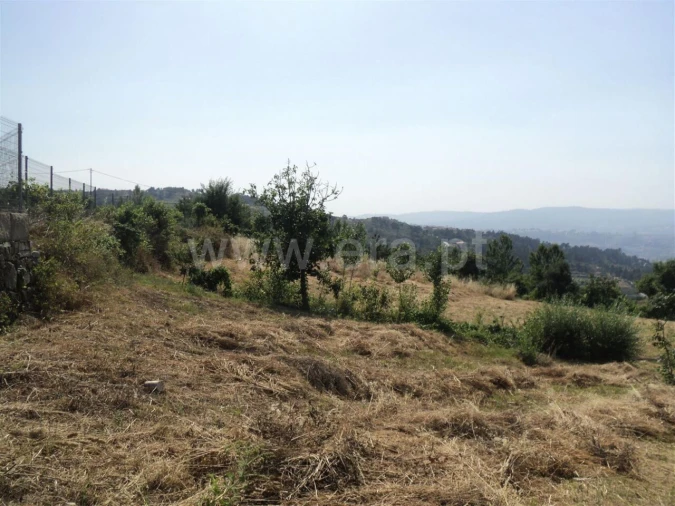 Terreno para Venda em Soalhães Foto 5