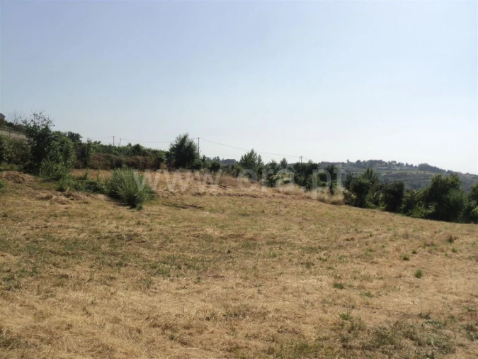 Terreno para Venda em Soalhães Foto 10