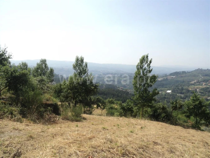 Terreno para Venda em Soalhães Foto 13