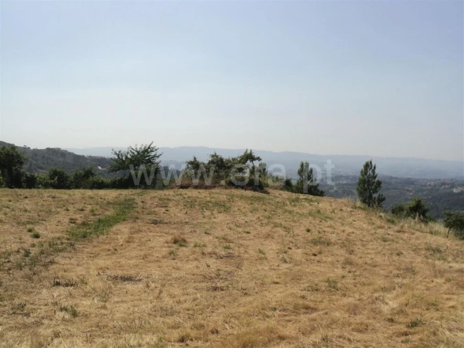 Terreno para Venda em Soalhães Foto 11