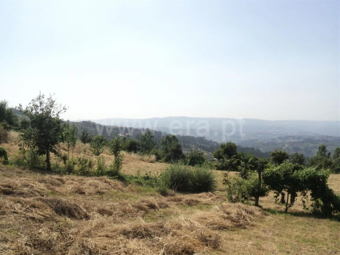 Terreno para Venda em Soalhães Foto 7