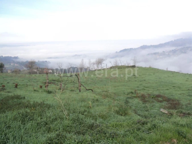 Terreno para Venda em Soalhães Foto 2
