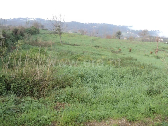Terreno para Venda em Soalhães Foto 3