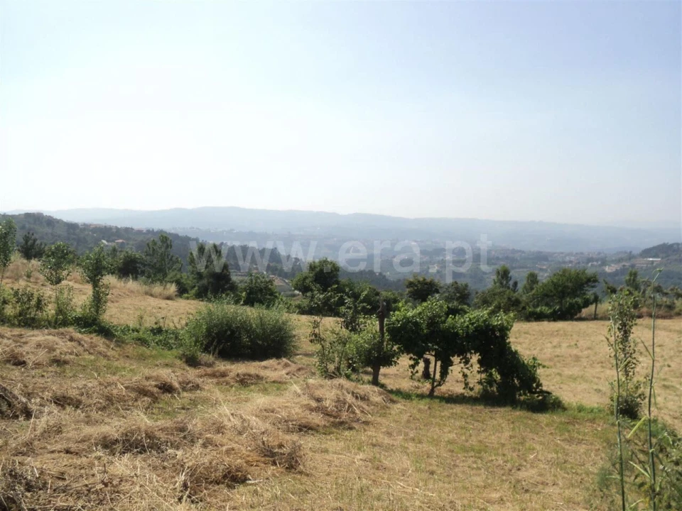 Terreno para Venda em Soalhães Foto 6