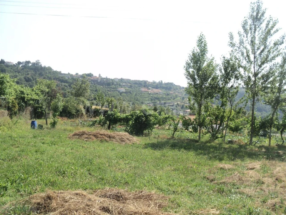 Terreno para Venda em Soalhães Foto 18