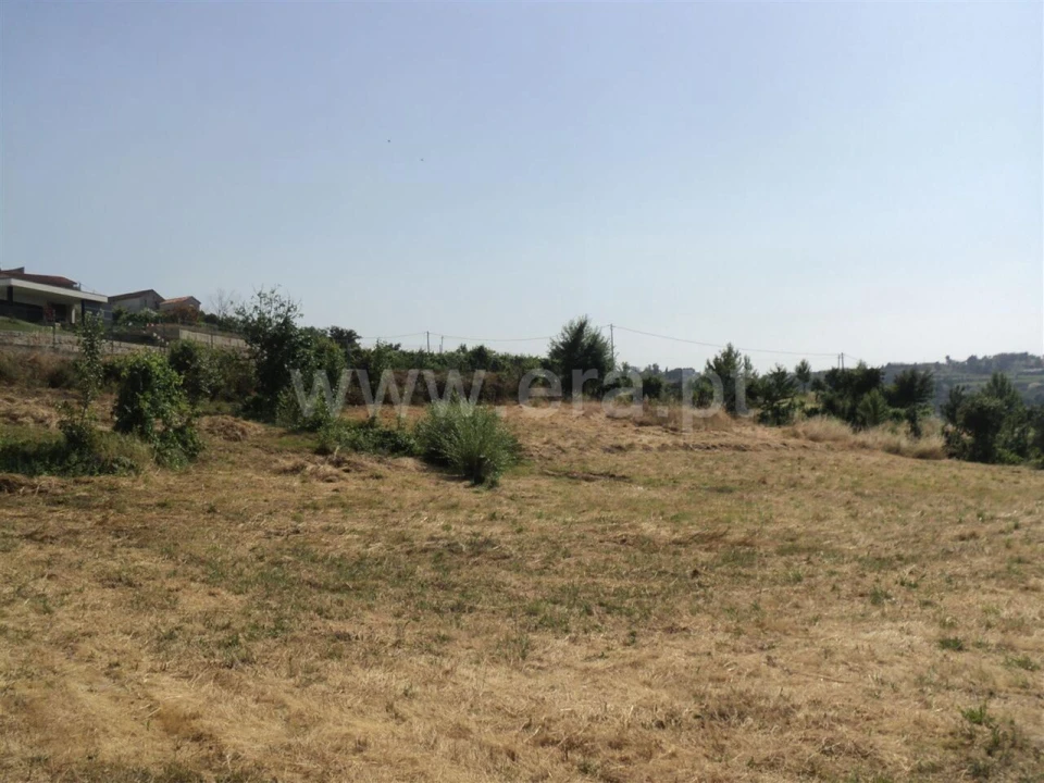 Terreno para Venda em Soalhães Foto 9