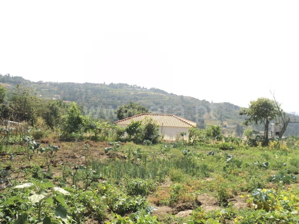 Terreno para Venda em Soalhães Foto 17