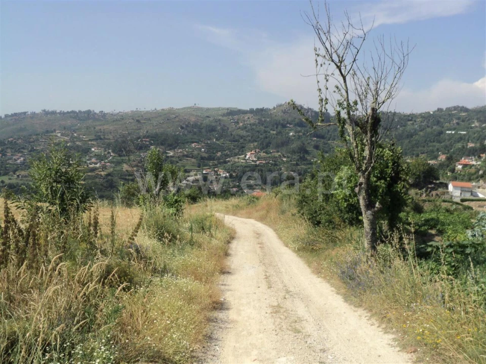 Terreno para Venda em Soalhães Foto 8