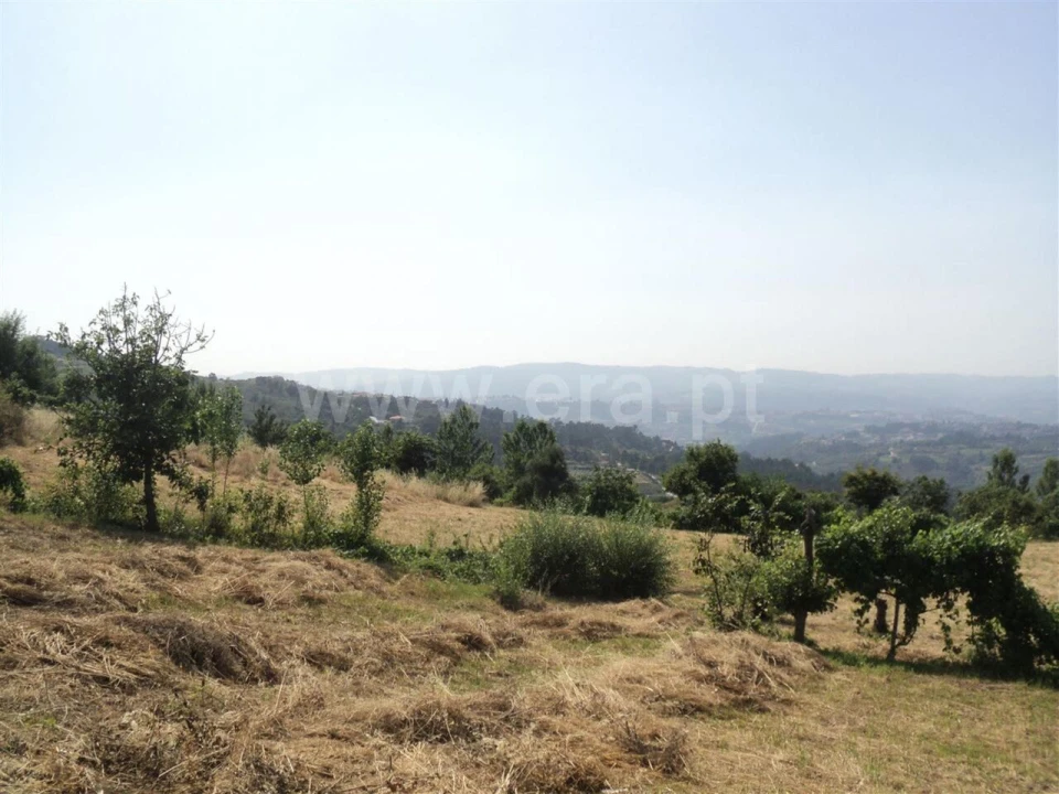 Terreno para Venda em Soalhães Foto 7
