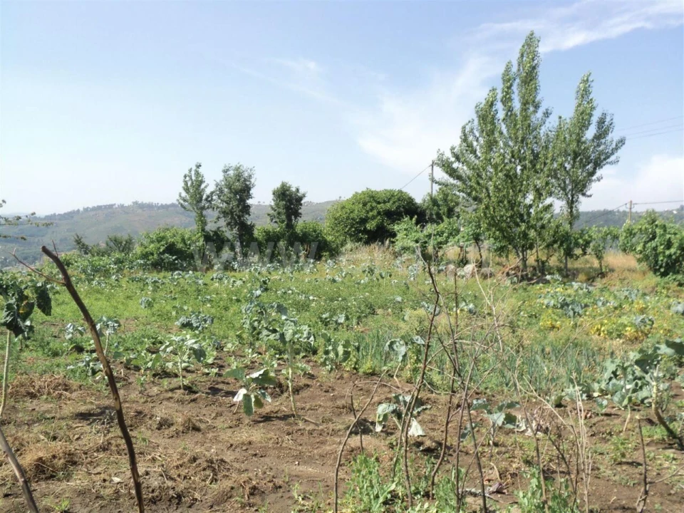 Terreno para Venda em Soalhães Foto 16
