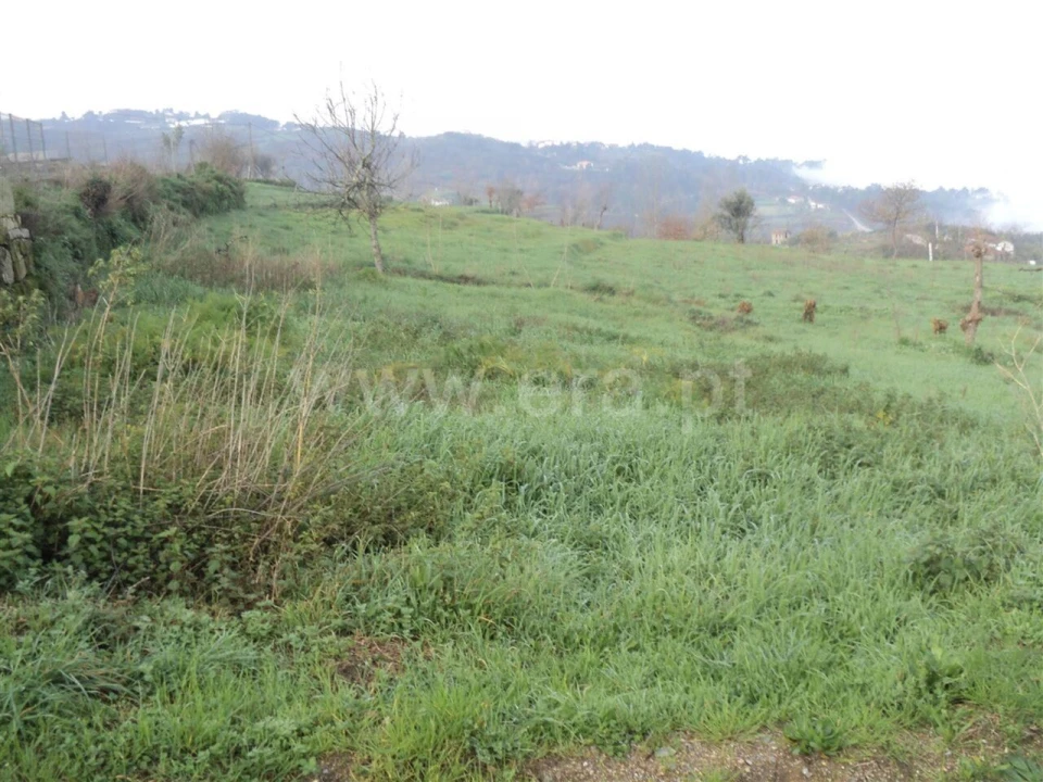 Terreno para Venda em Soalhães Foto 3