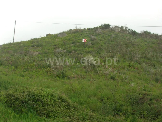 Quinta T0 para Venda em Penhalonga e Paços de Gaiolo Foto 7