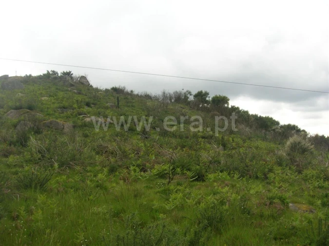 Quinta T0 para Venda em Penhalonga e Paços de Gaiolo Foto 2