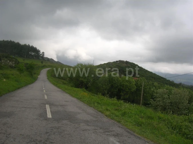 Quinta T0 para Venda em Penhalonga e Paços de Gaiolo