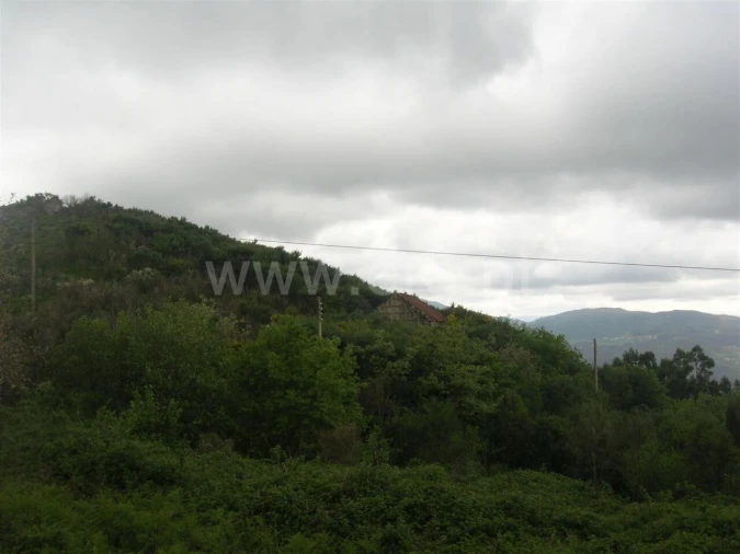 Quinta T0 para Venda em Penhalonga e Paços de Gaiolo Foto 5