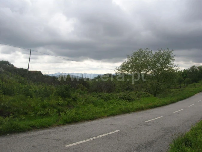 Quinta T0 para Venda em Penhalonga e Paços de Gaiolo Foto 9