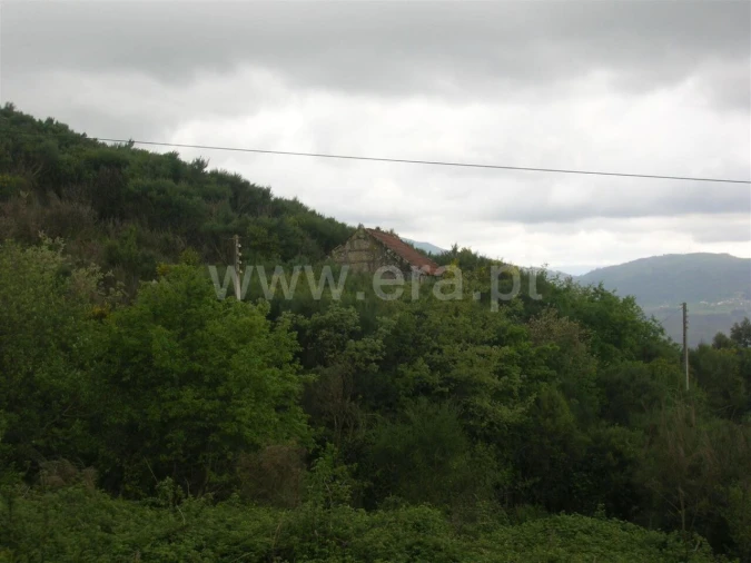 Quinta T0 para Venda em Penhalonga e Paços de Gaiolo Foto 6