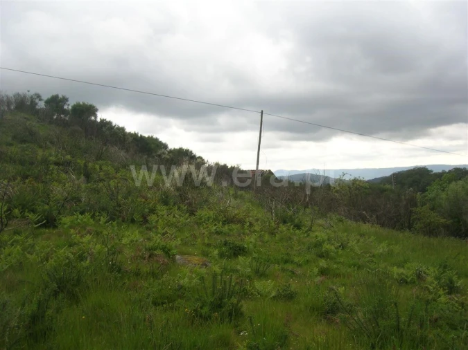 Quinta T0 para Venda em Penhalonga e Paços de Gaiolo Foto 3