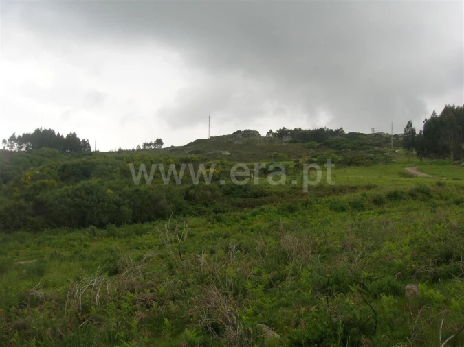 Quinta T0 para Venda em Penhalonga e Paços de Gaiolo Foto 4