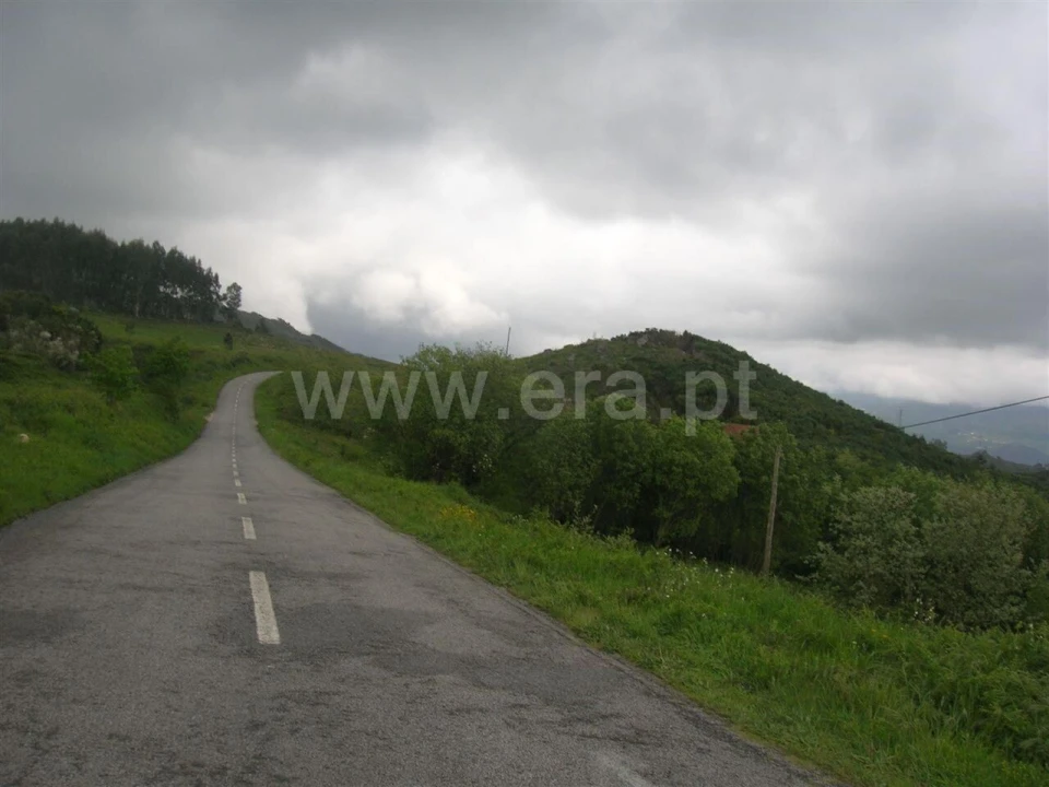 Quinta T0 para Venda em Penhalonga e Paços de Gaiolo Foto 1