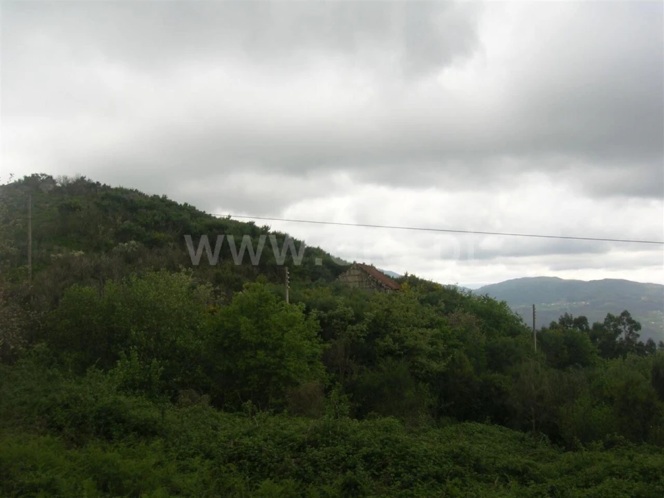 Quinta T0 para Venda em Penhalonga e Paços de Gaiolo Foto 5