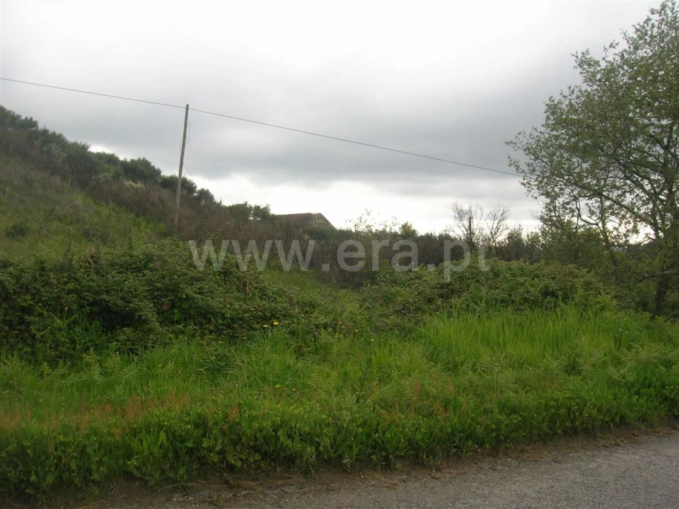 Quinta T0 para Venda em Penhalonga e Paços de Gaiolo Foto 8