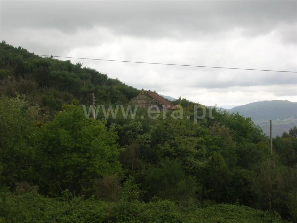 Quinta T0 para Venda em Penhalonga e Paços de Gaiolo Foto 6