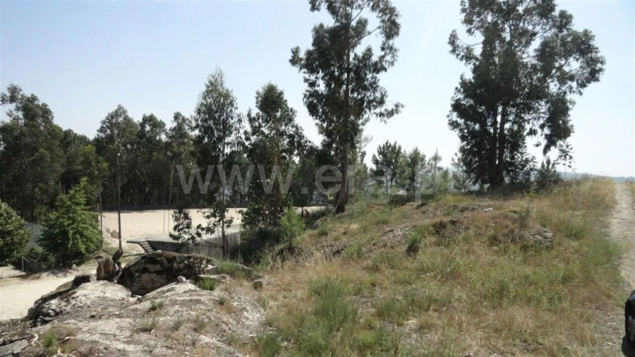 Terreno para Venda em Banho e Carvalhosa Foto 2