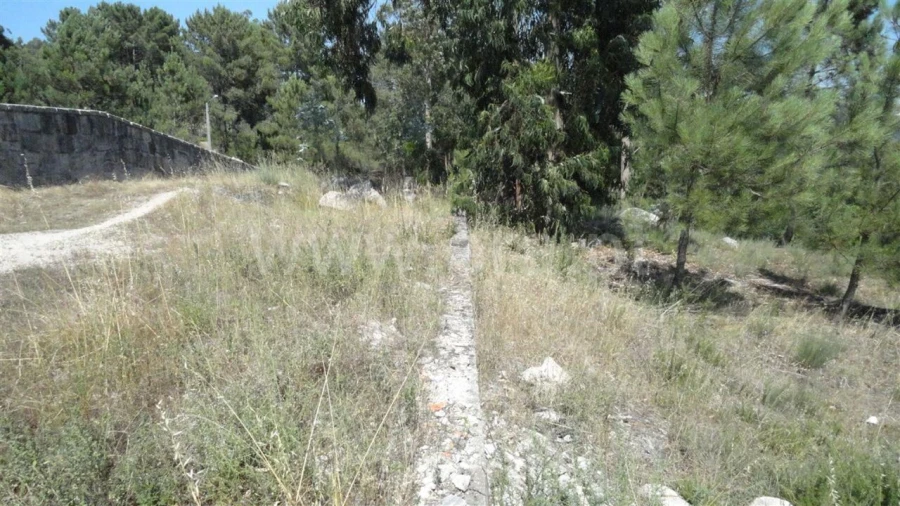 Terreno para Venda em Banho e Carvalhosa Foto 4