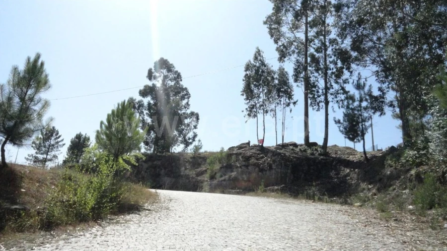 Terreno para Venda em Banho e Carvalhosa