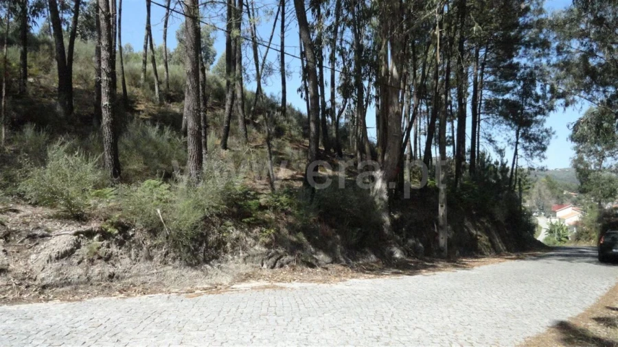 Terreno para Venda em Banho e Carvalhosa Foto 4