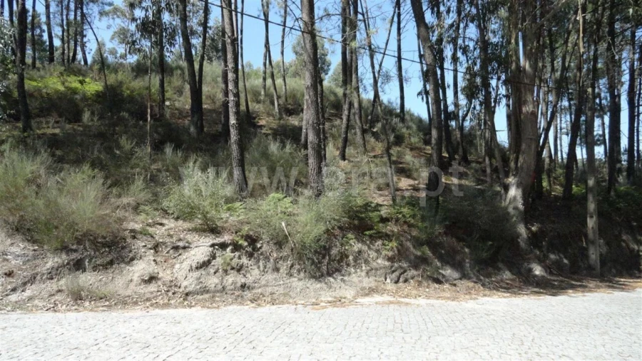 Terreno para Venda em Banho e Carvalhosa Foto 3