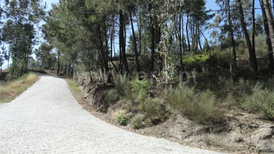 Terreno para Venda em Banho e Carvalhosa Foto 1