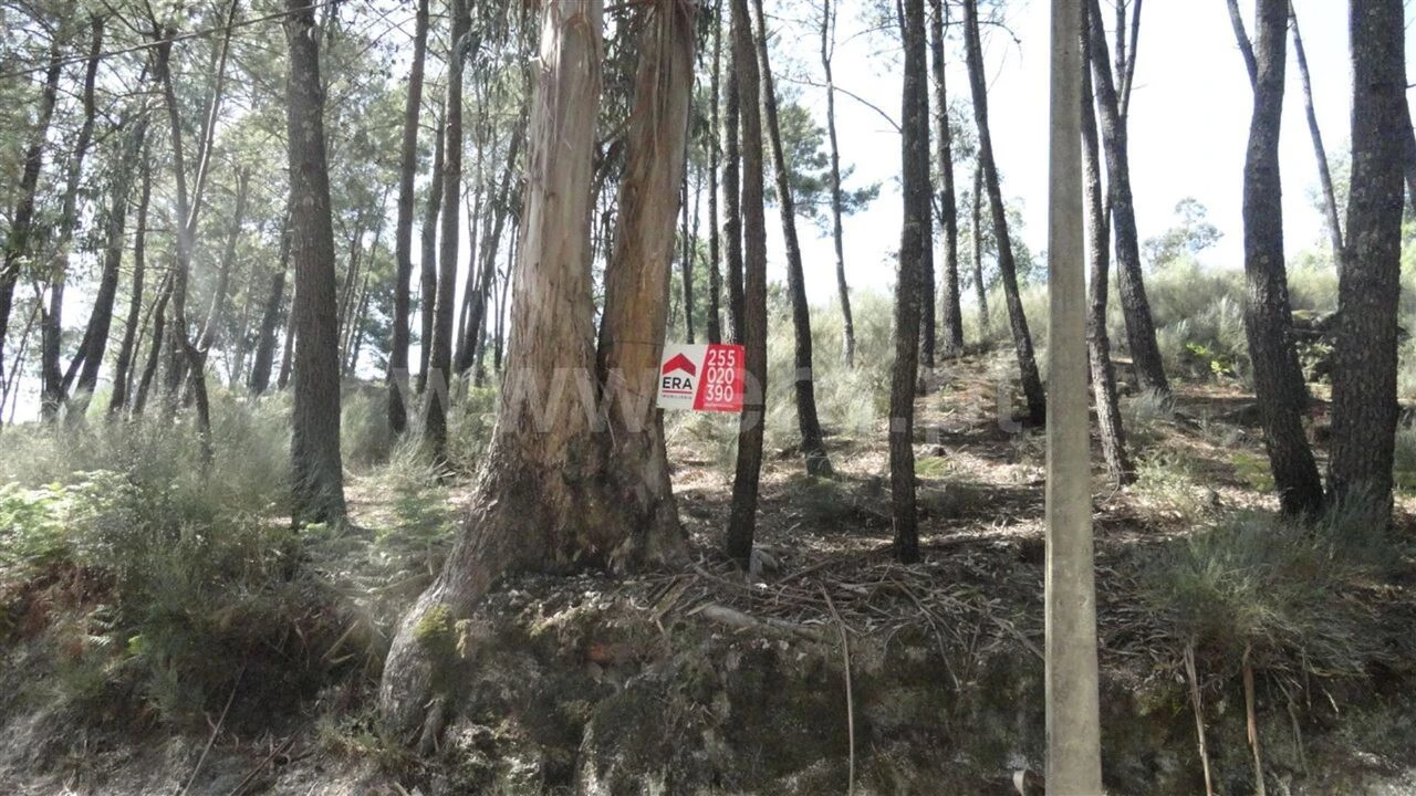 Terreno para Venda em Banho e Carvalhosa Foto 2